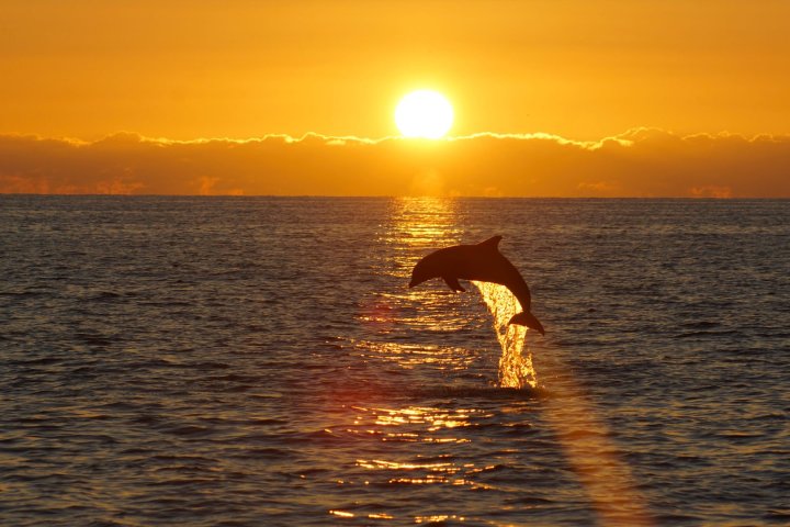 a sunset over a body of water