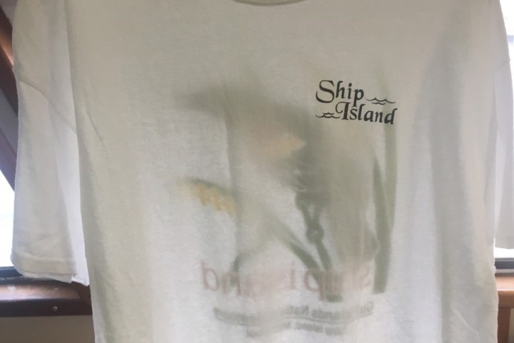 a person in a white shirt