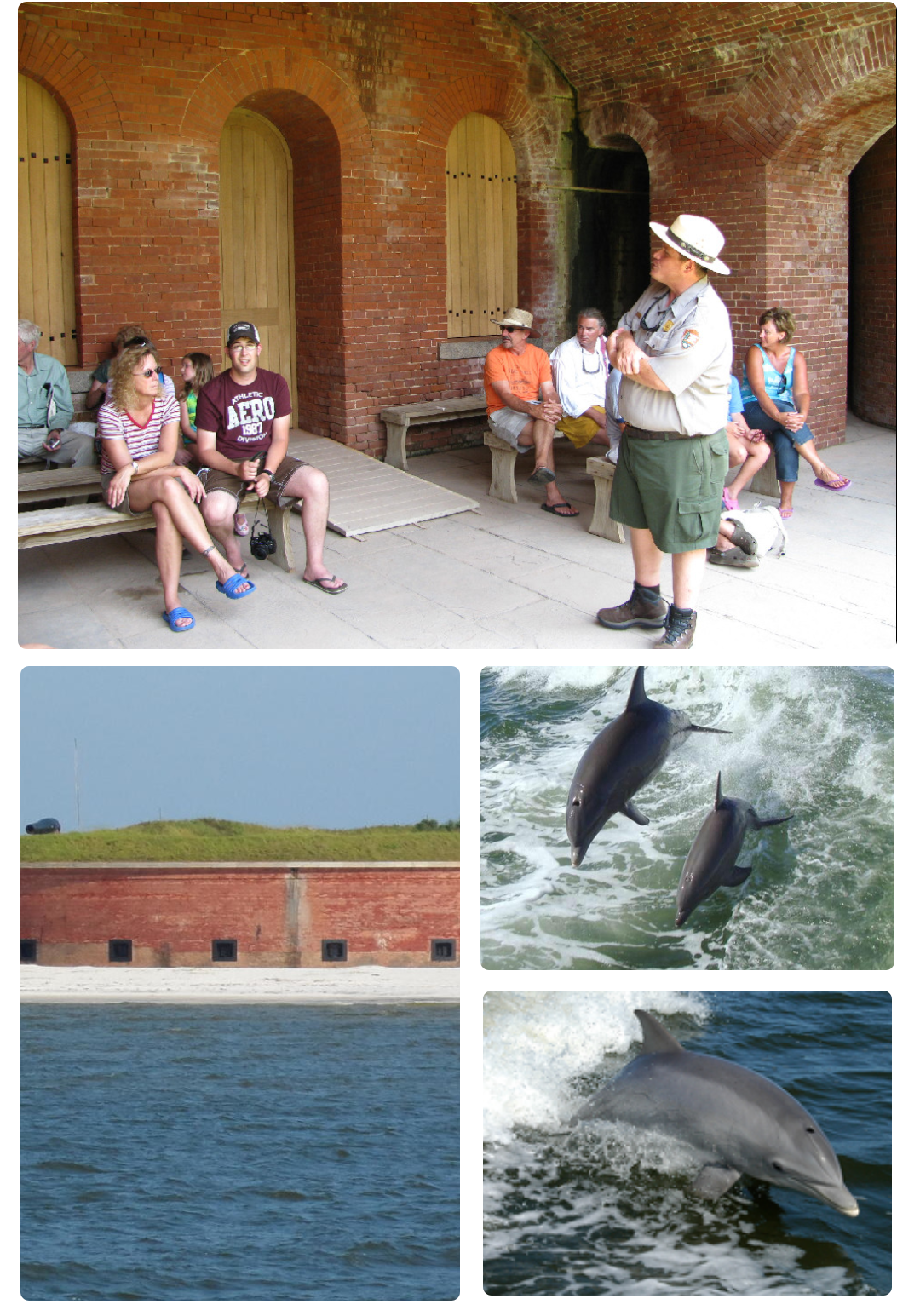photo collage showing people sitting on a bench, a body of water, and dolphins