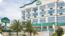 a group of palm trees on the side of a building