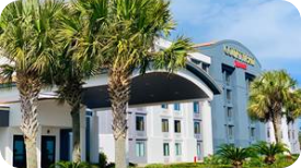 a palm tree in front of a building